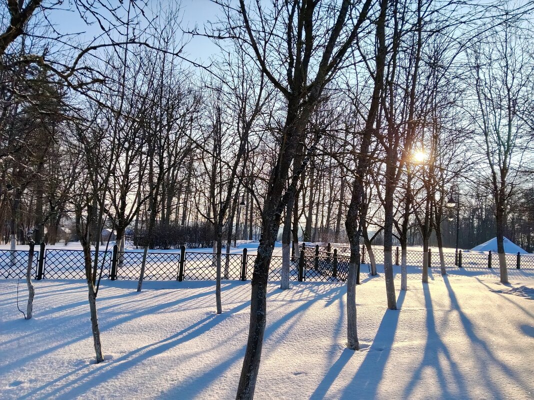 Природа в зимний период. - Елена Сухорученкова