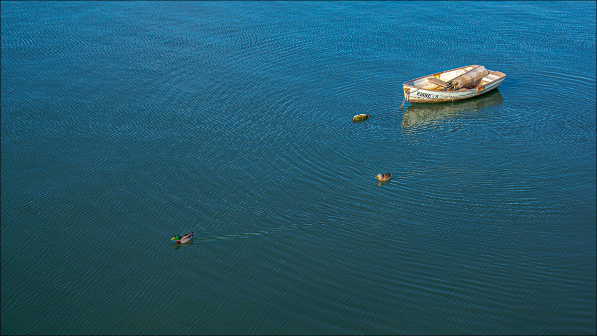 Утро - **** vedin Утро - **** vedin