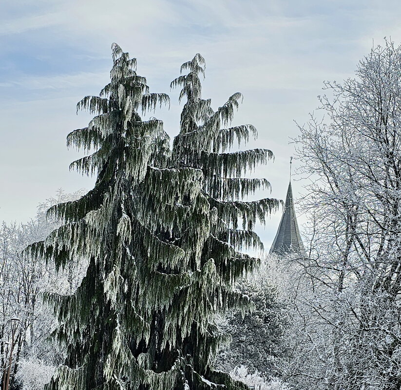 Калининград. Кафедральный собор. - Михаил Свиденцов Калининград. Кафедральный собор. - Михаил Свиденцов