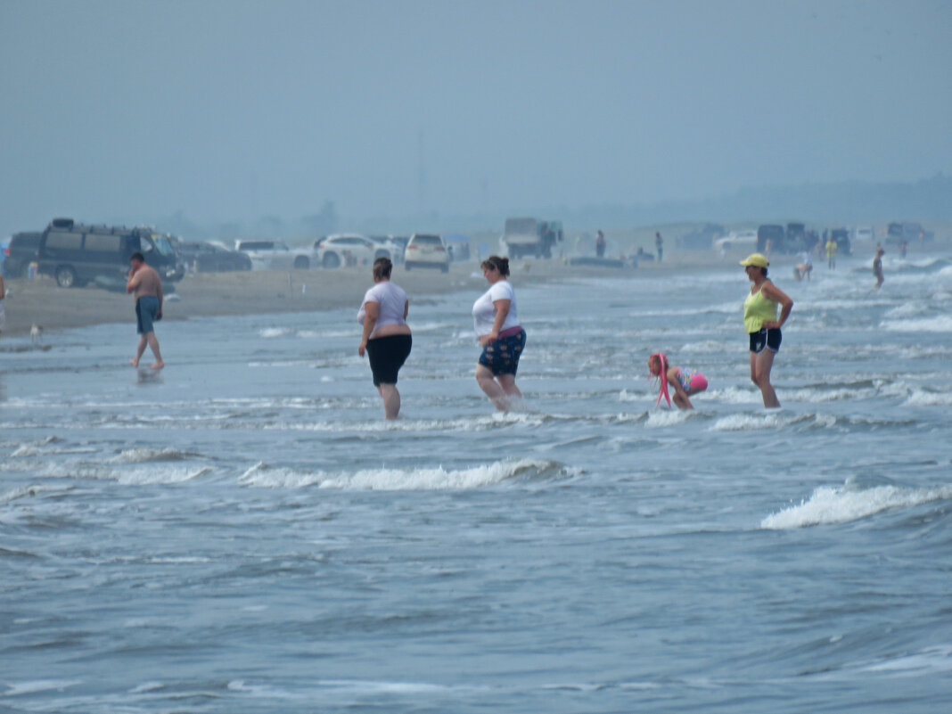 Иветта, Лизетта, Мюзетта, Жанетта, Жоржетта - ИРЭН@ . Иветта, Лизетта, Мюзетта, Жанетта, Жоржетта - ИРЭН@ .