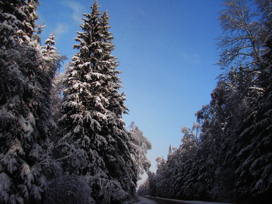 По зимней дороге - Людмила Смородинская По зимней дороге - Людмила Смородинская