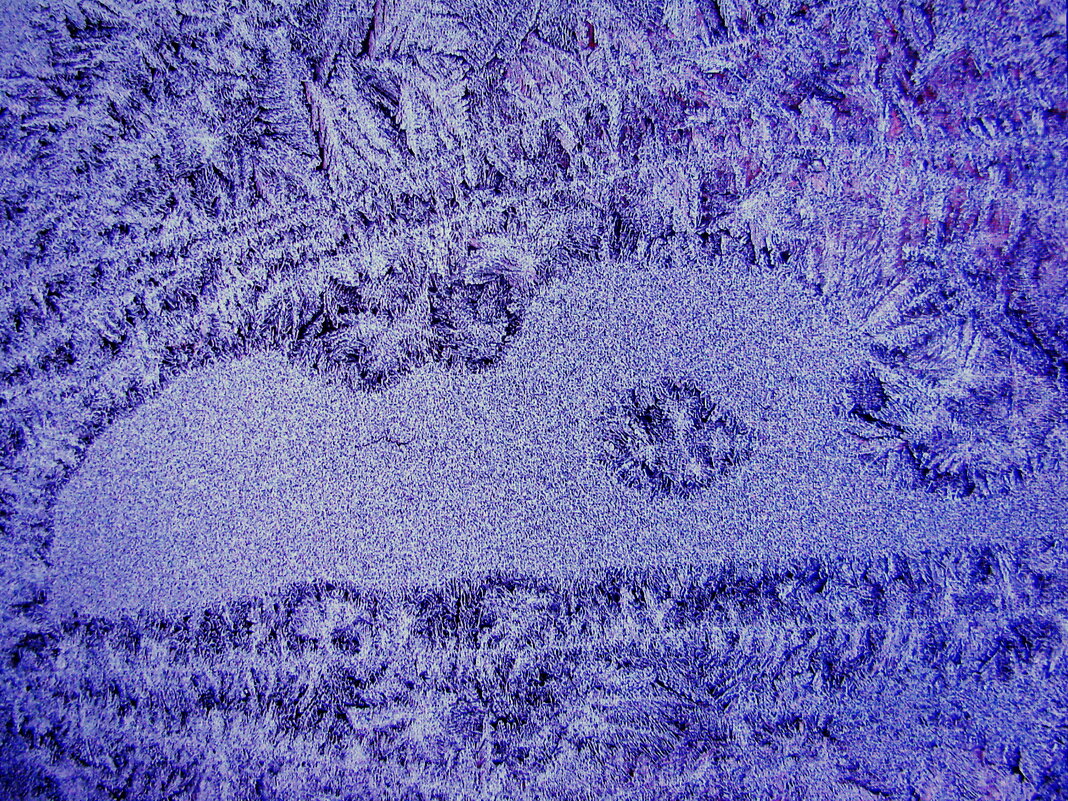 Мороз рисует - Людмила Смородинская Мороз рисует - Людмила Смородинская