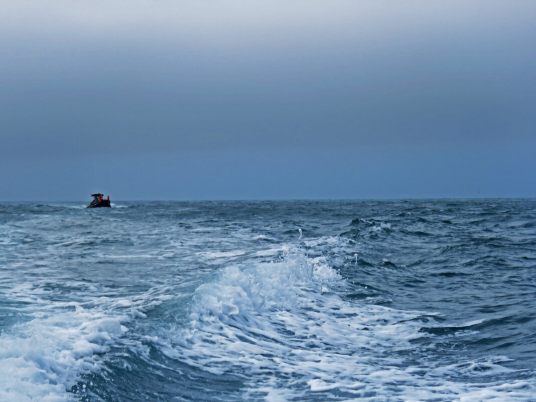 Одинокая лодка - ИРЭН@ . Одинокая лодка - ИРЭН@ .