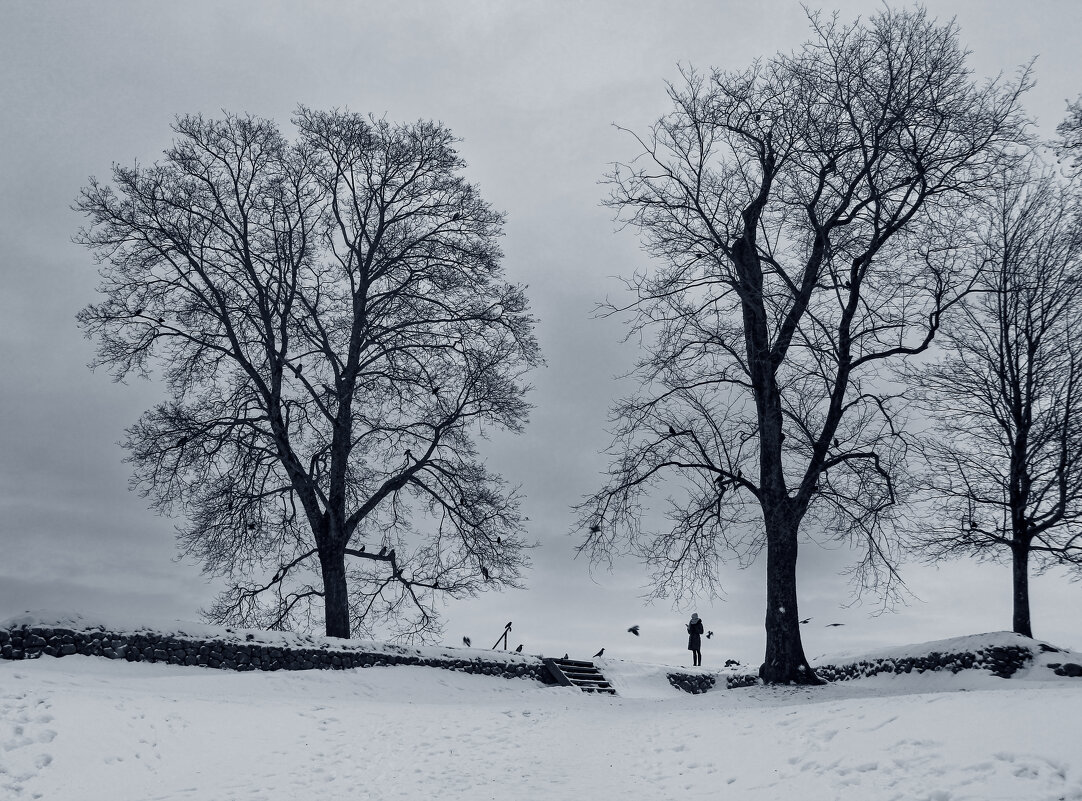 Лаппеенранта - skijumper Иванов Лаппеенранта - skijumper Иванов