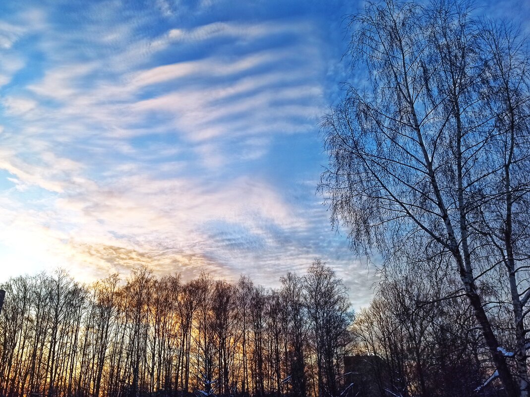Из прогулки в зимний солнечный день - svk * Из прогулки в зимний солнечный день - svk *