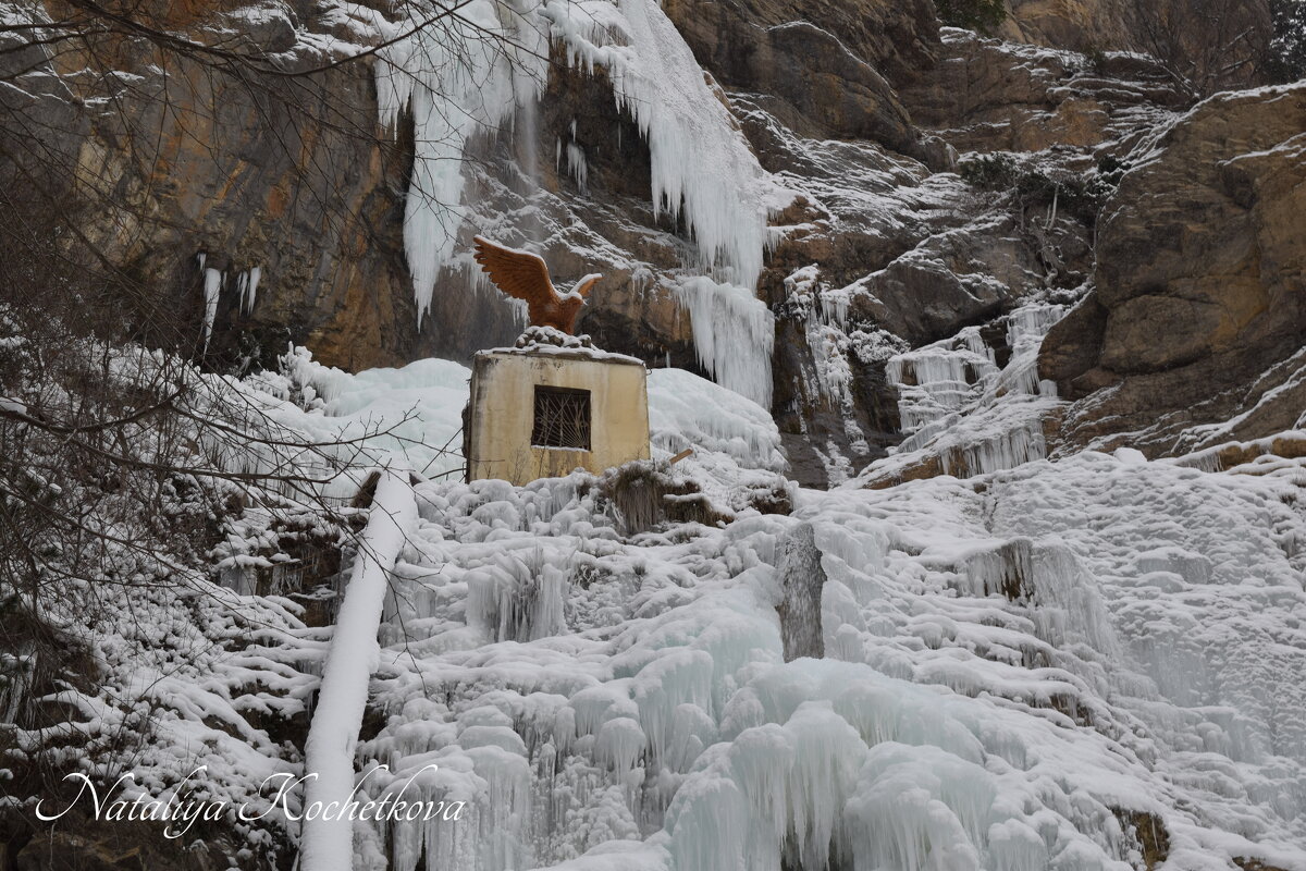 Природа Крыма - Amazing Cosmea Природа Крыма - Amazing Cosmea