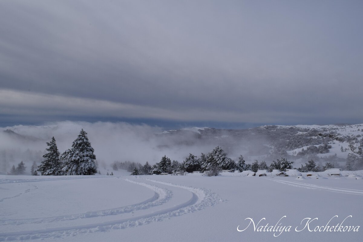 Природа Крыма - Amazing Cosmea Природа Крыма - Amazing Cosmea