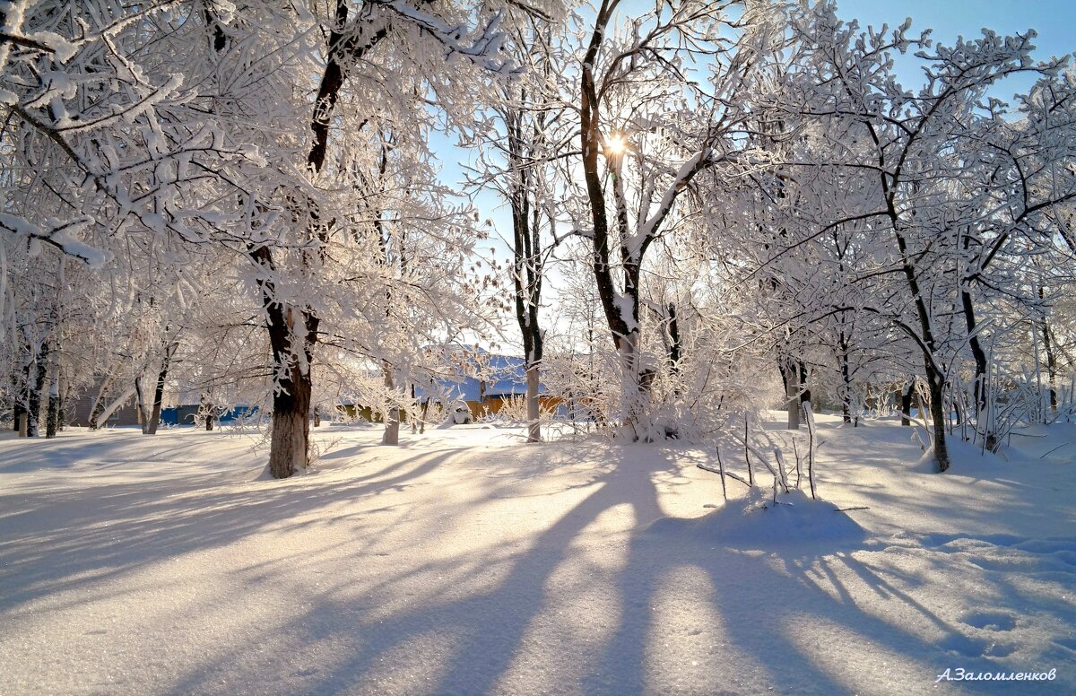 Про январь... - Андрей Заломленков Про январь... - Андрей Заломленков