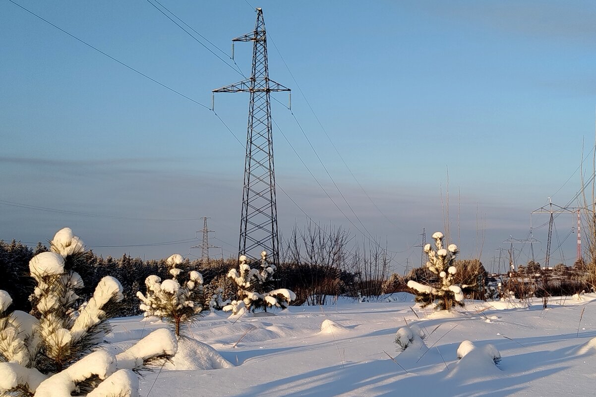 Вечере за городом - светлана льдокова