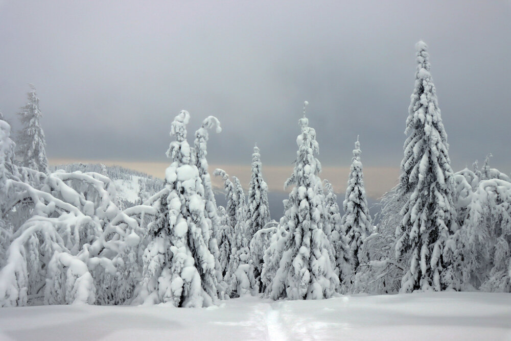Январь в уральских горах - Галина Ильясова Январь в уральских горах - Галина Ильясова