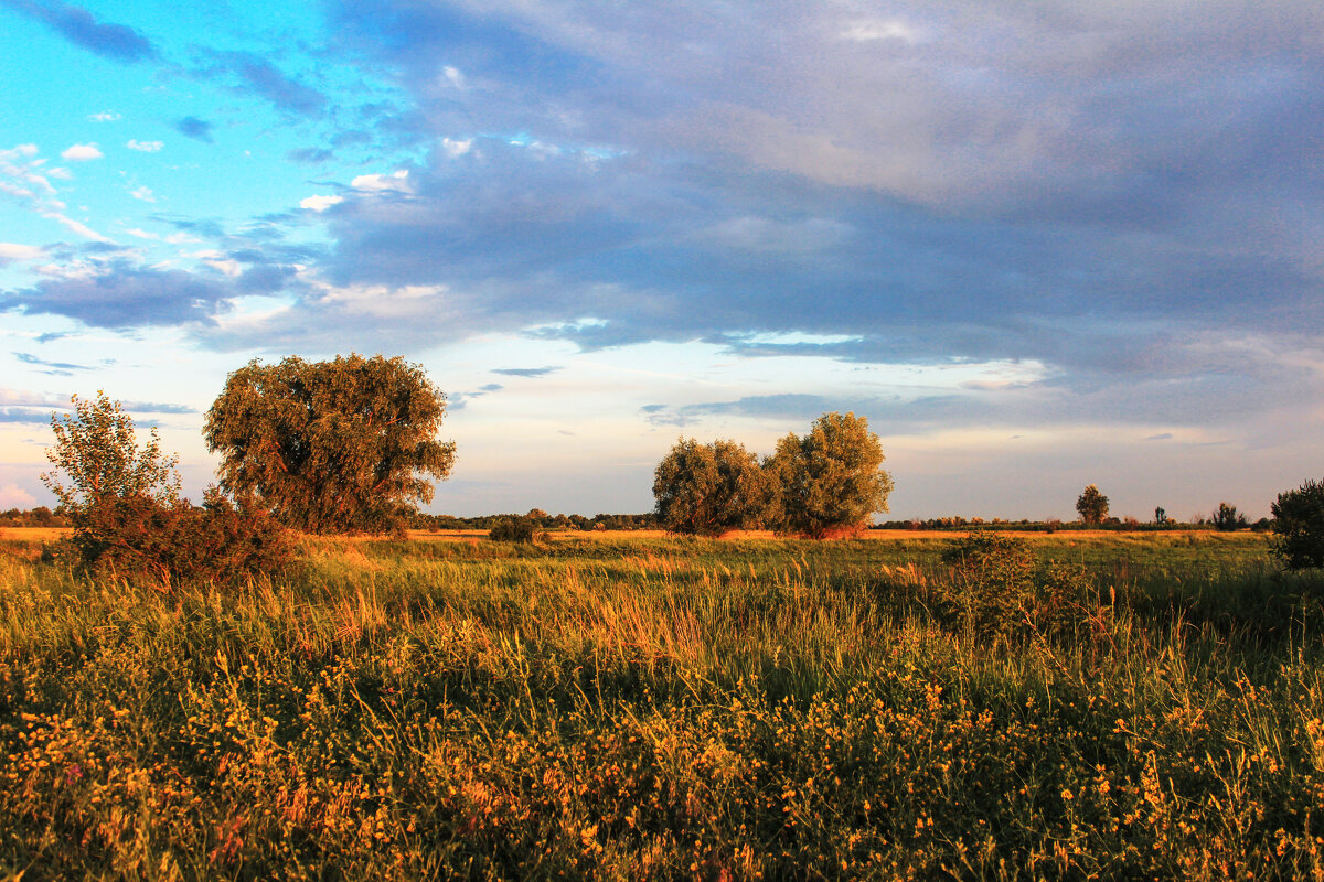 Вечер. - Александр. AVG100 --- Вечер. - Александр. AVG100 ---