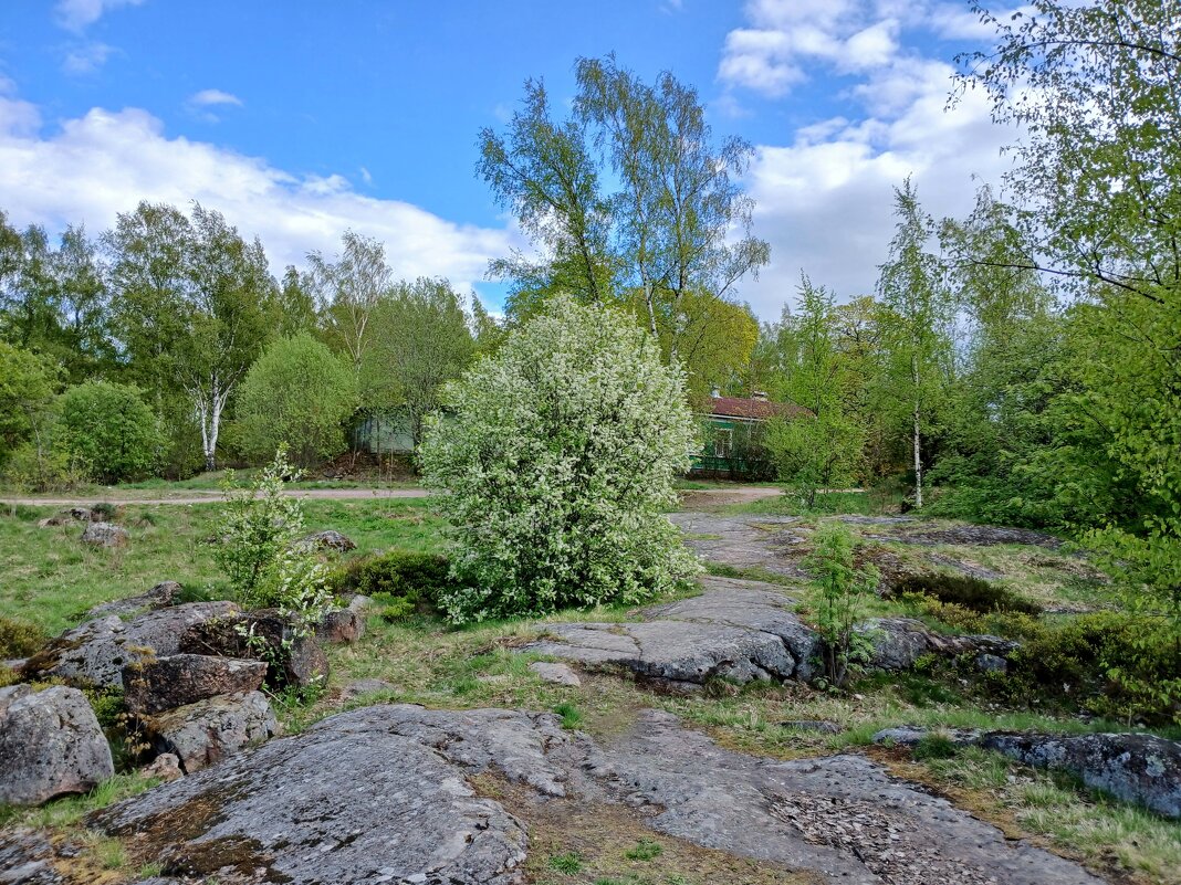 Весна на Батарейной горе. - Лия ☼ Весна на Батарейной горе. - Лия ☼