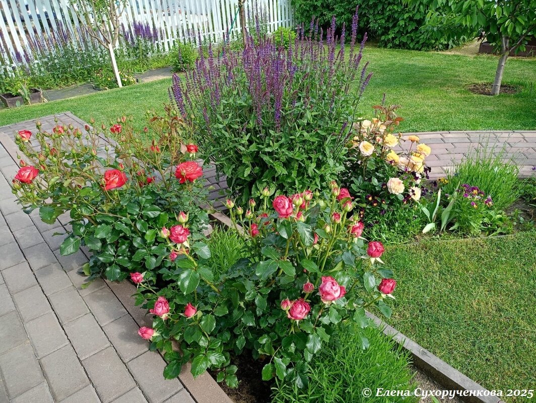 Цветочный пейжаж - Елена Сухорученкова