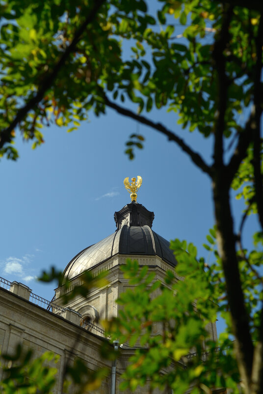 Павловск. Дворец. - Константин 