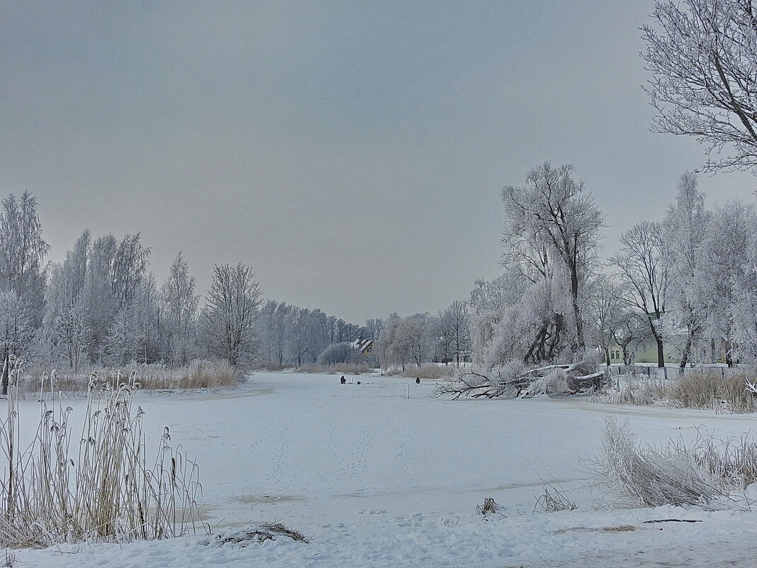 зимний день - ИННА ПОРОХОВА