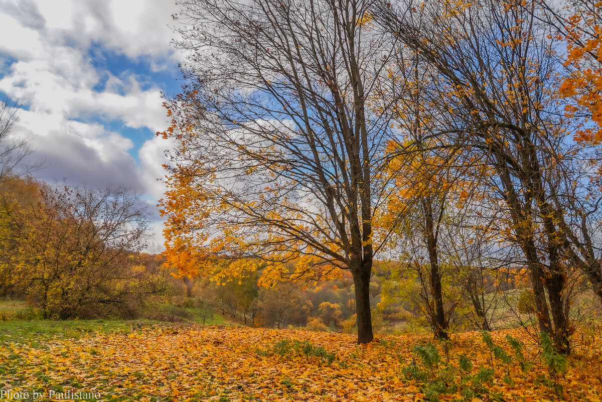 Октябрь в Царицыно... - Владимир Жданов Октябрь в Царицыно... - Владимир Жданов