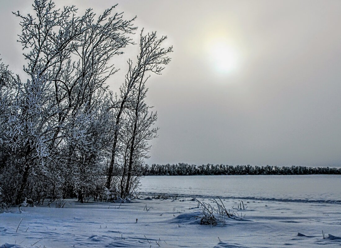 Январь. - Владимир Январь. - Владимир