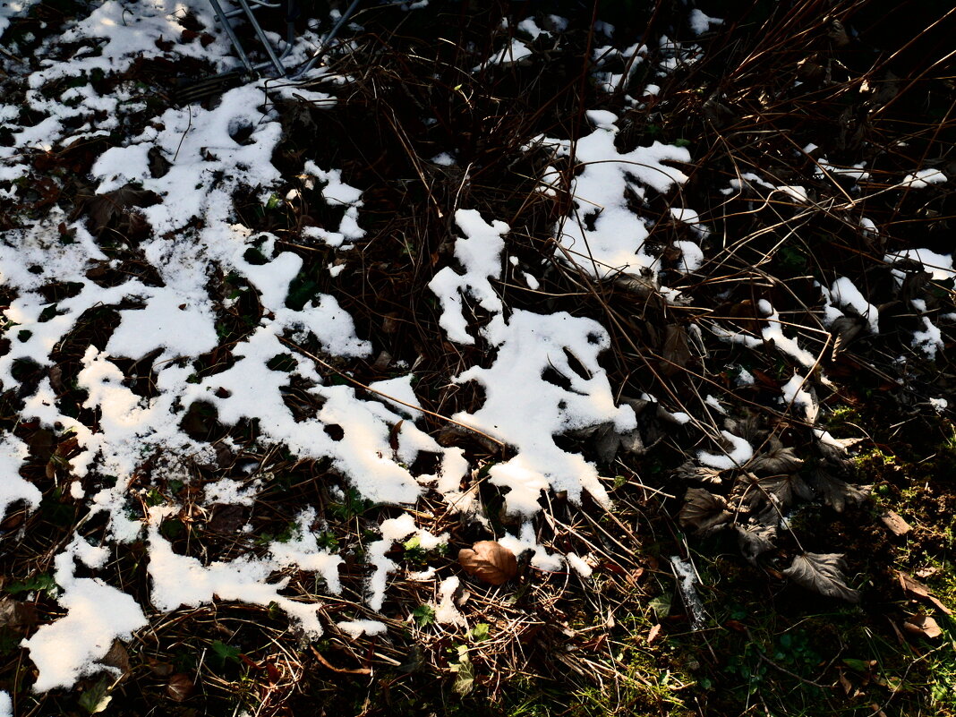 Южная зима - 7 - Алексей Кузнецов