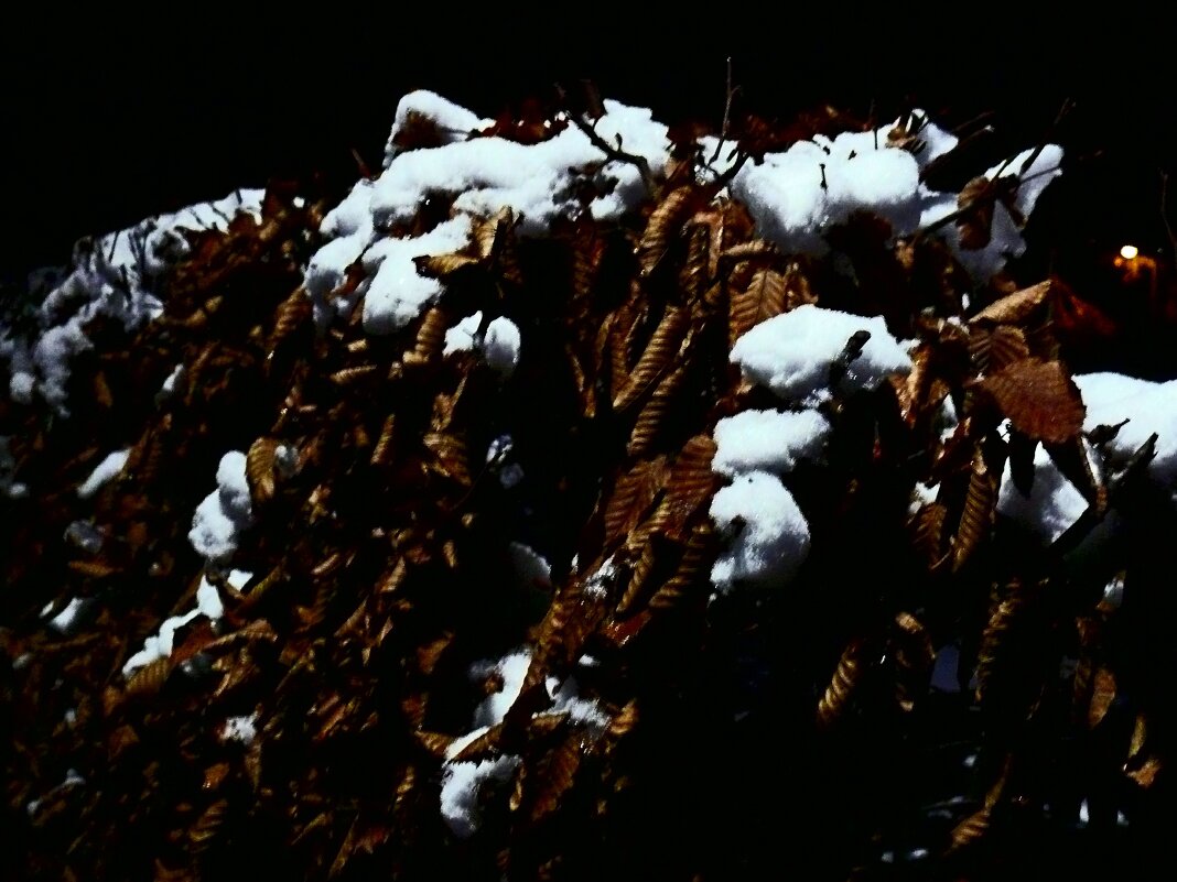 Южная зима - 10 - Алексей Кузнецов