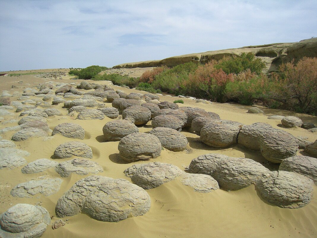 Кусочек Туркменистана. - unix (Илья Утропов)