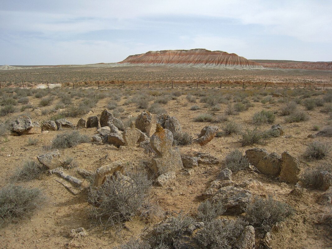 Заброшенное кладбище на севере Туркменистана. - unix (Илья Утропов) Заброшенное кладбище на севере Туркменистана. - unix (Илья Утропов)