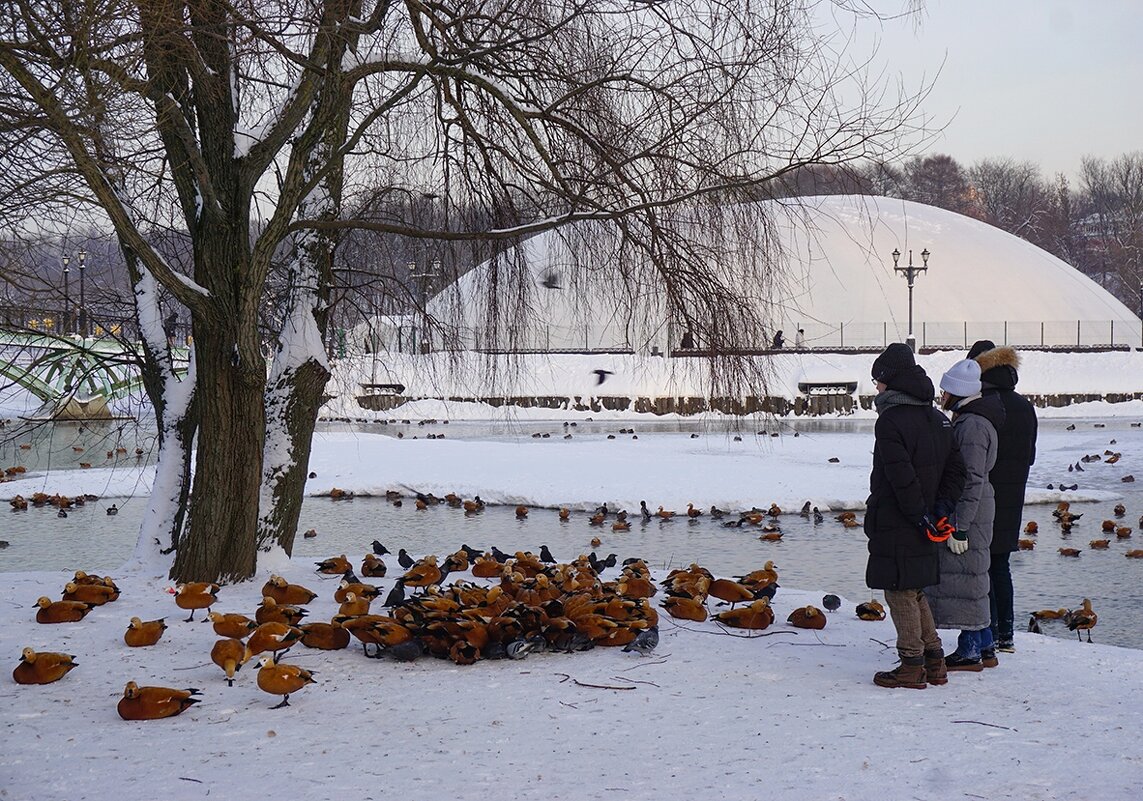 Зима в Царицыно - Ольга Зима в Царицыно - Ольга