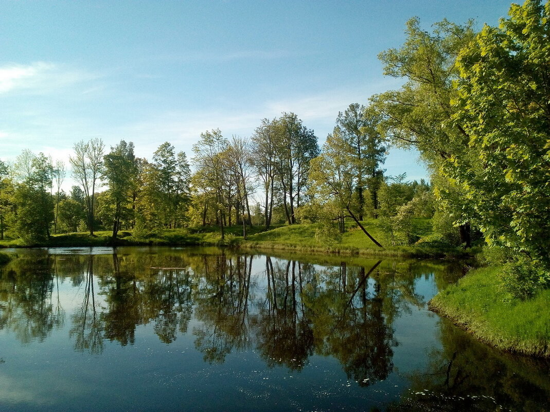 Отражения Пушкина - Елена Суханова Отражения Пушкина - Елена Суханова