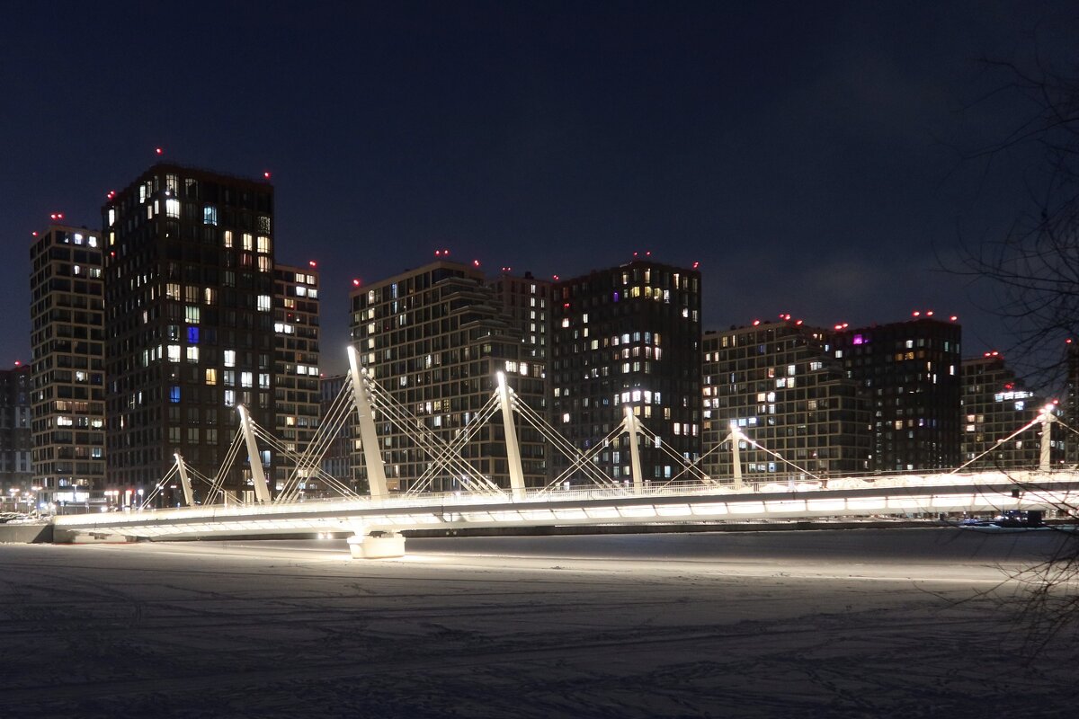 Велопешеходный мост - Дмитрий И_ Велопешеходный мост - Дмитрий И_