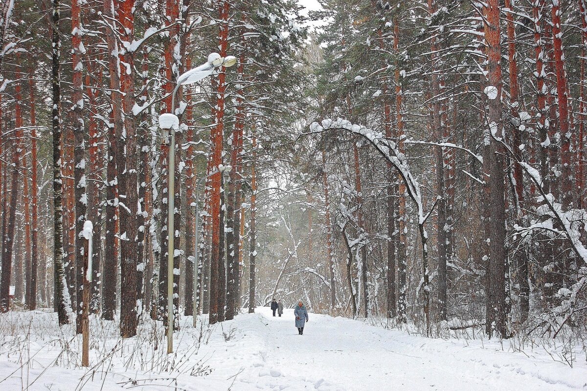 Тропа здоровья - Галина Нестратова