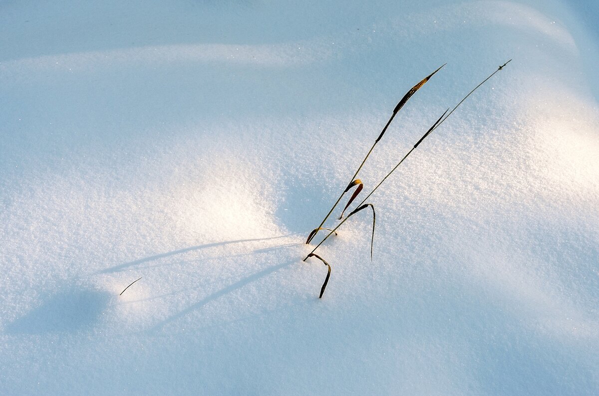 Травинка - Валерий Иванович