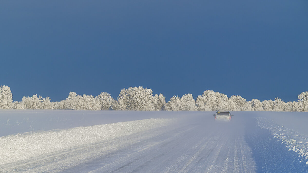 ... - Жора Житников ... - Жора Житников