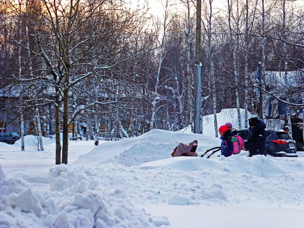 С коляской между сугробами! - Владимир С коляской между сугробами! - Владимир
