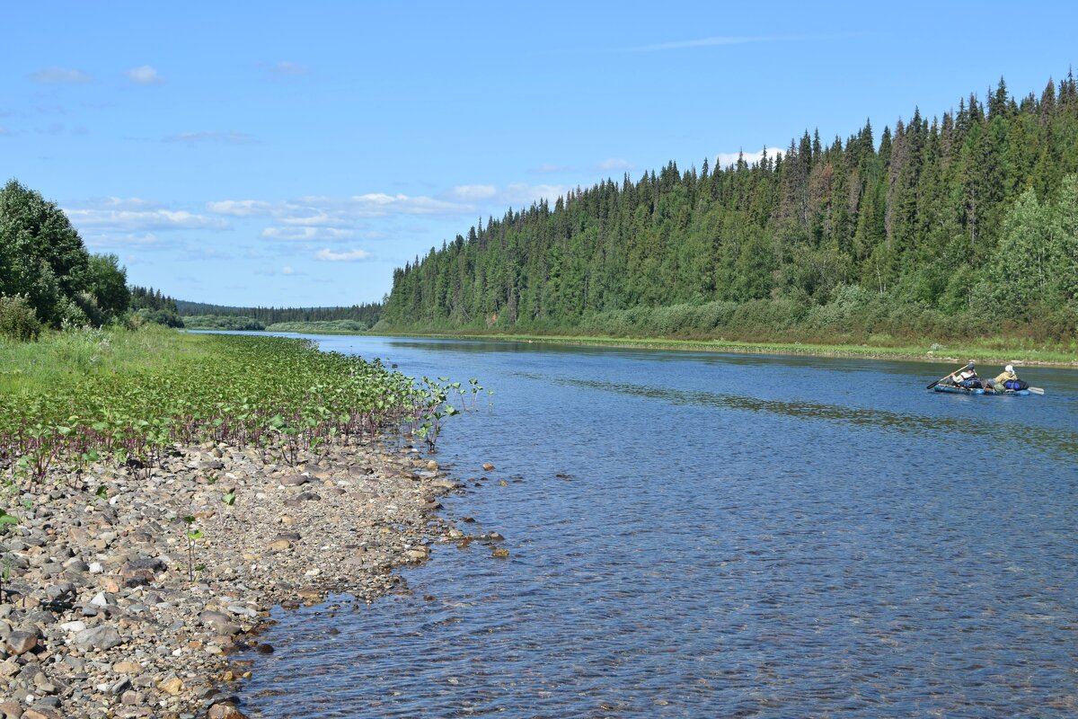 Уходит вдаль река. - ВикТор Быстров