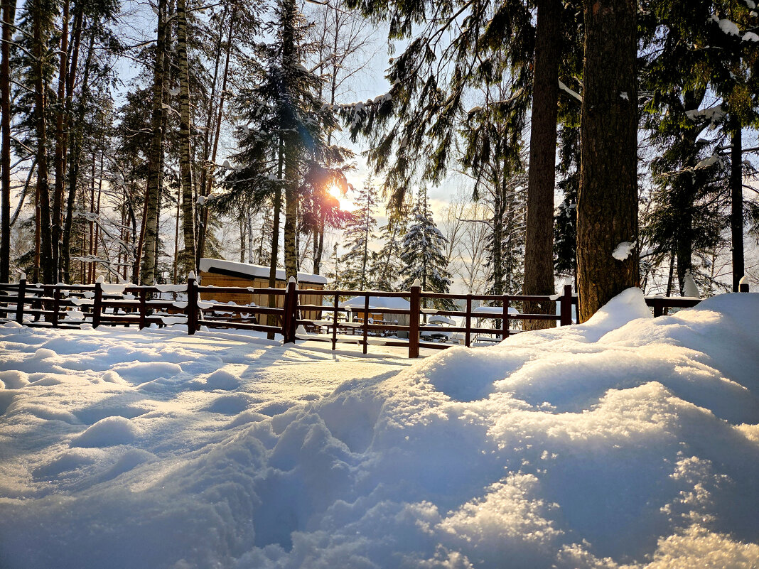 . - РИТА ЛЕВКОВА . - РИТА ЛЕВКОВА