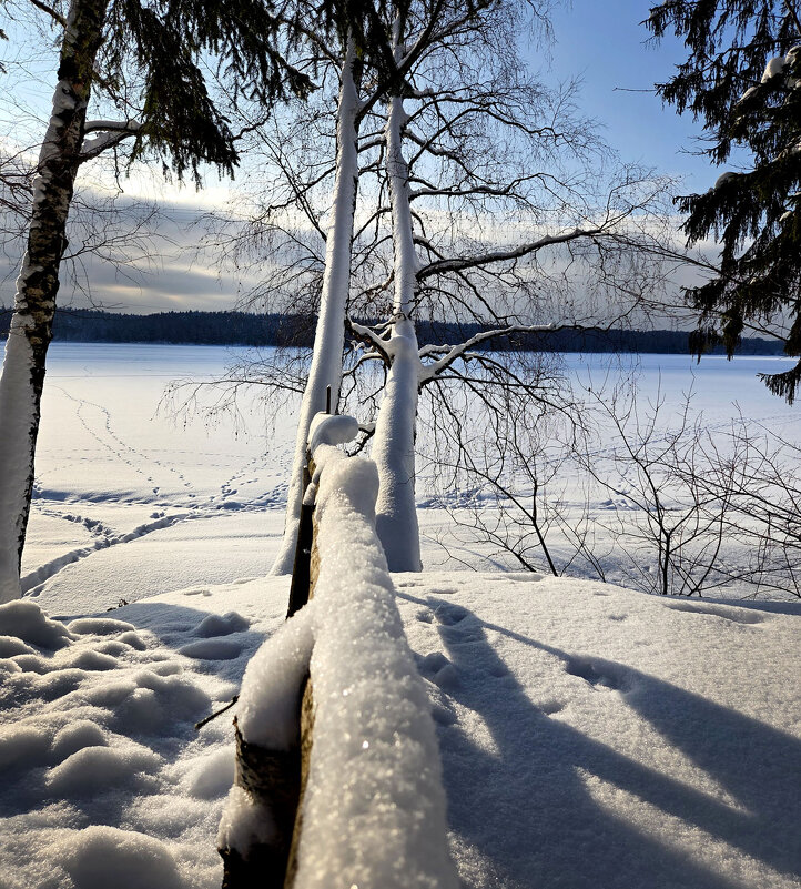 . - РИТА ЛЕВКОВА