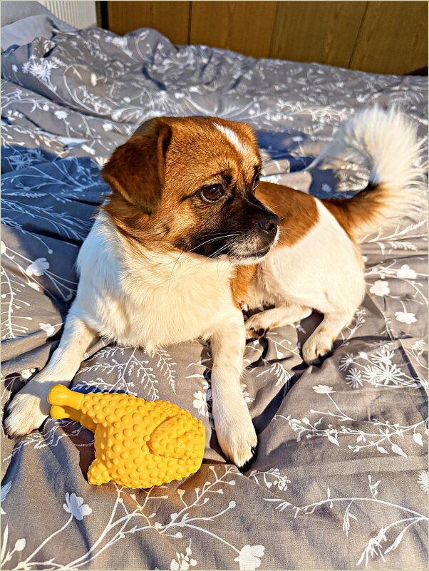 Мой любимый малыш. - Валерия Комова