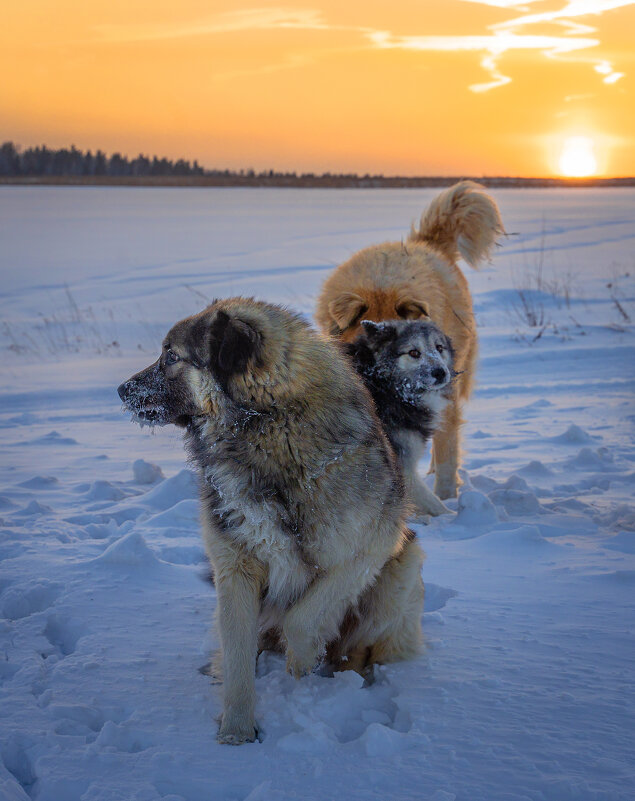 В морозы лучше держаться вместе. - Павел Крутенко