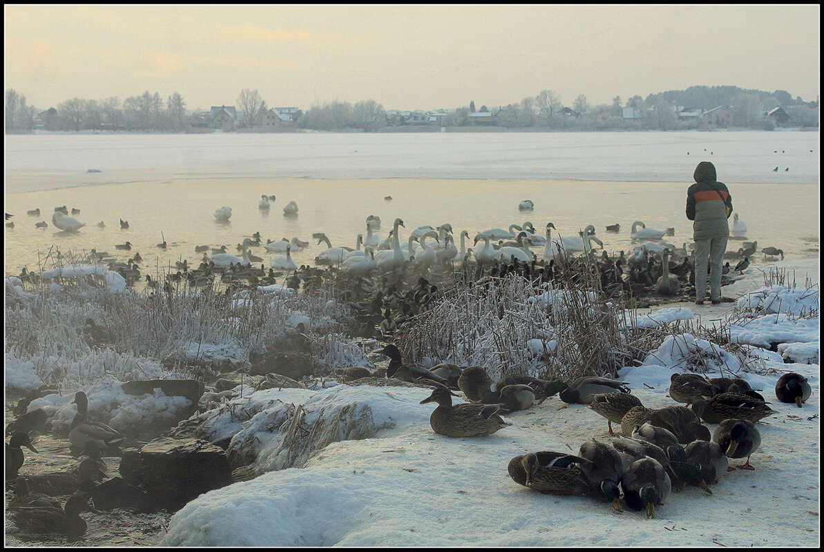 помоги ближнему - Aleksandr Gal помоги ближнему - Aleksandr Gal