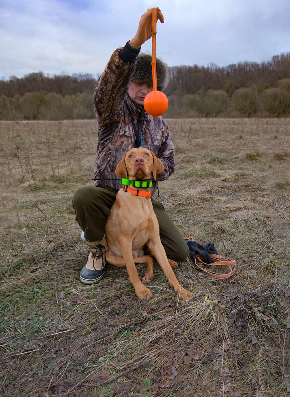 Игры с любимой собакой на Андреевском лугу - Евгений Игры с любимой собакой на Андреевском лугу - Евгений