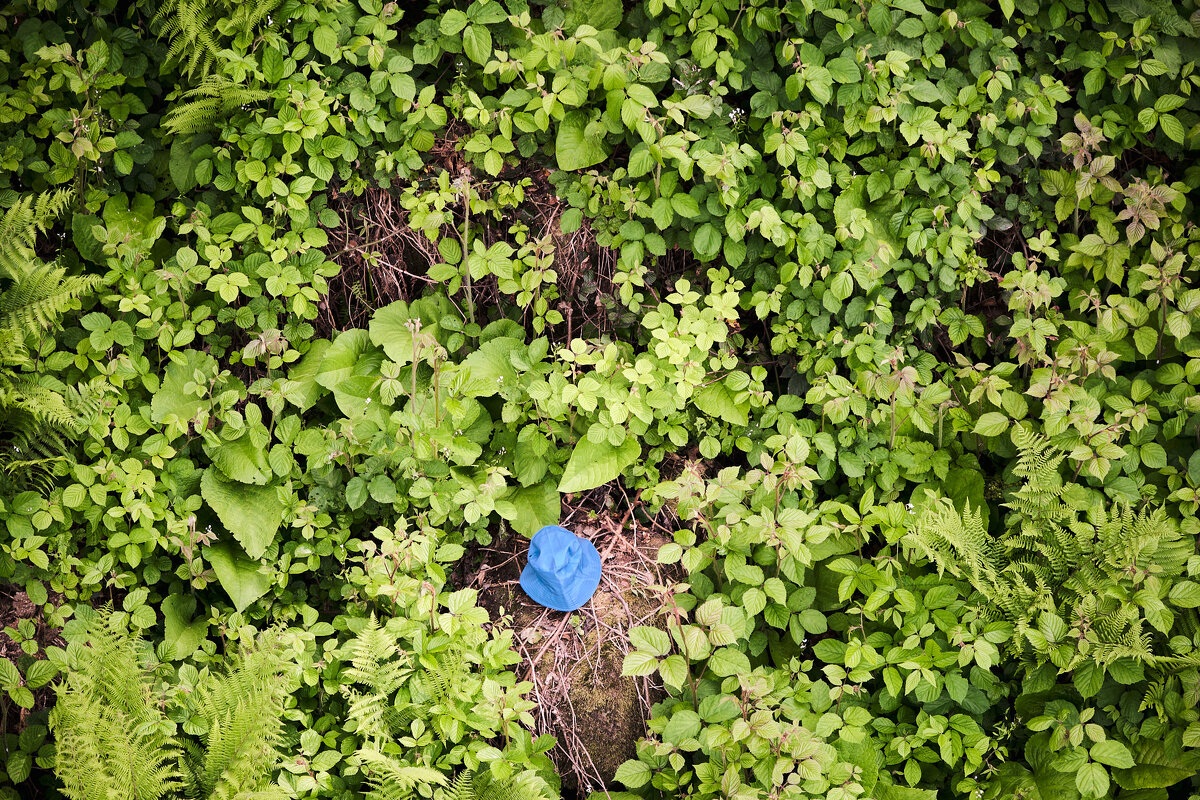 Синяя точка в зеленом море - Иван Державин