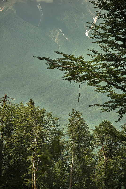 Окно в вечность - Иван Державин