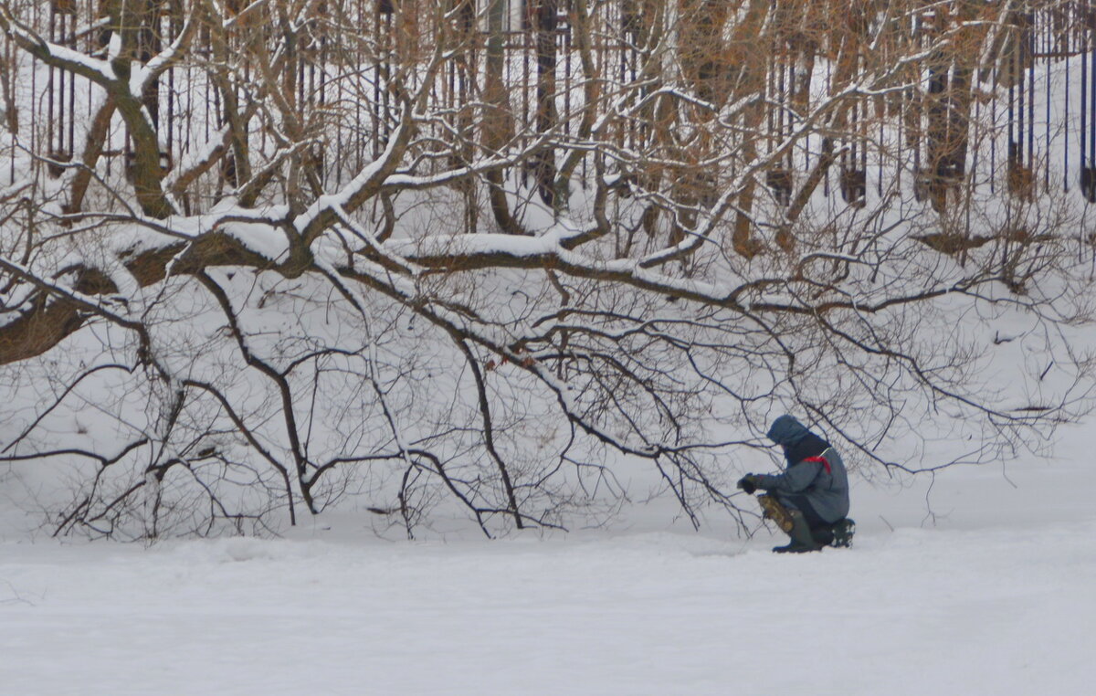 Ловись рыбка мала и велика - Анастасия Смирнова Ловись рыбка мала и велика - Анастасия Смирнова
