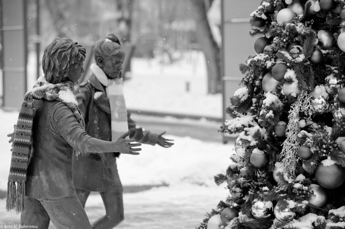 Серия "До Нового 2027 года осталось..." - Михаил 