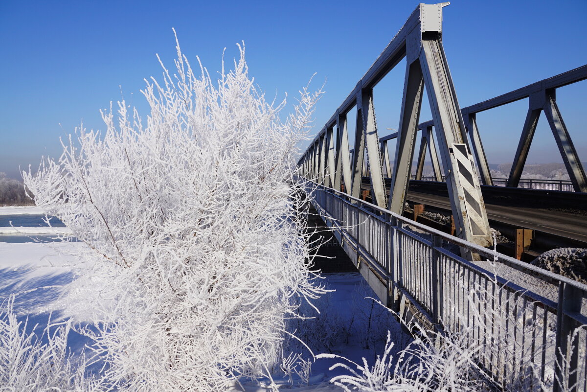 Мороз - Наталия Григорьева