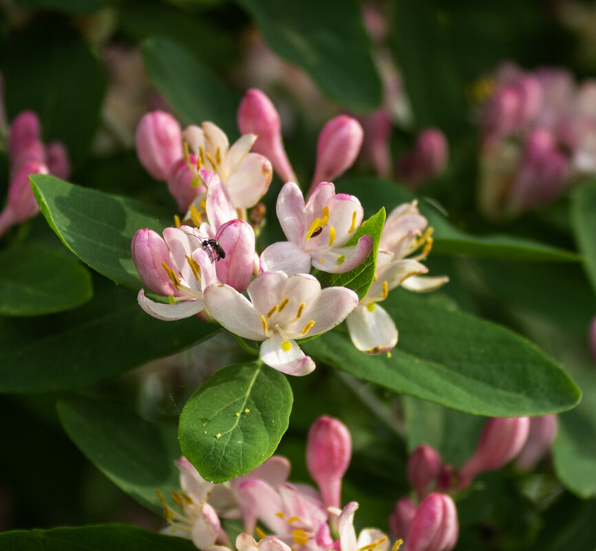 *** - Александр. AVG100 --- *** - Александр. AVG100 ---