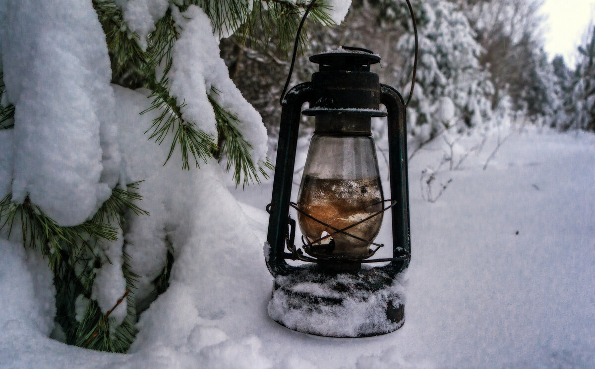 Примус на прогулке - sorovey Sol