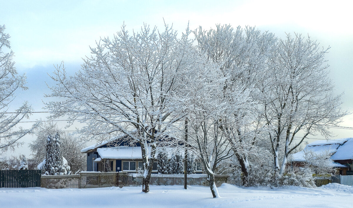 Морозным днем - Oleg S 