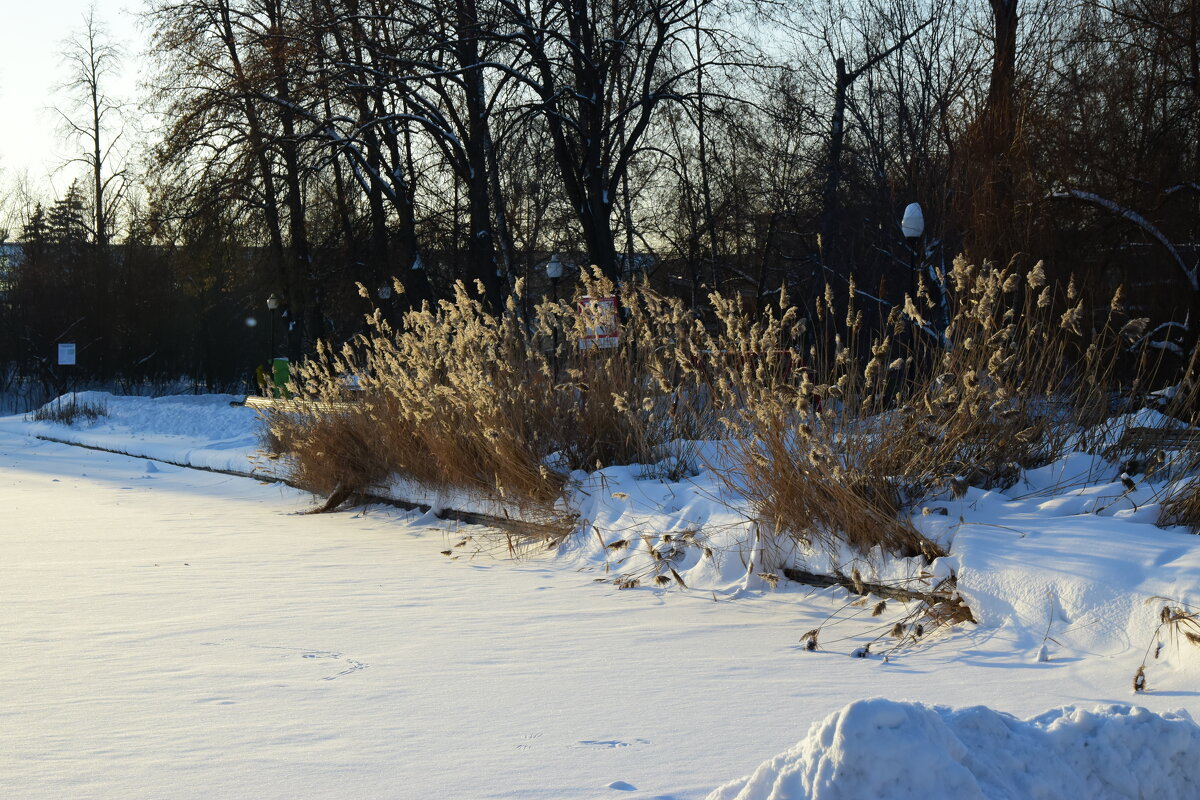 Берег озера. - Наталья Вязигина