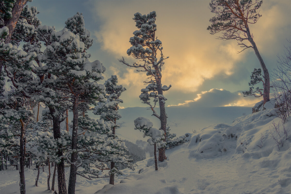 *** - Аnatoly Gaponenko