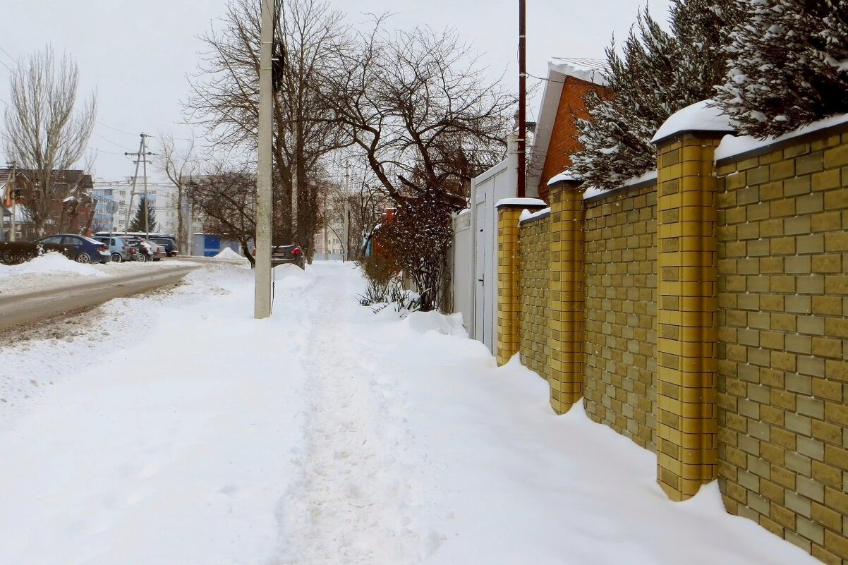 А снег идёт, а снег идёт... - Татьяна Смоляниченко